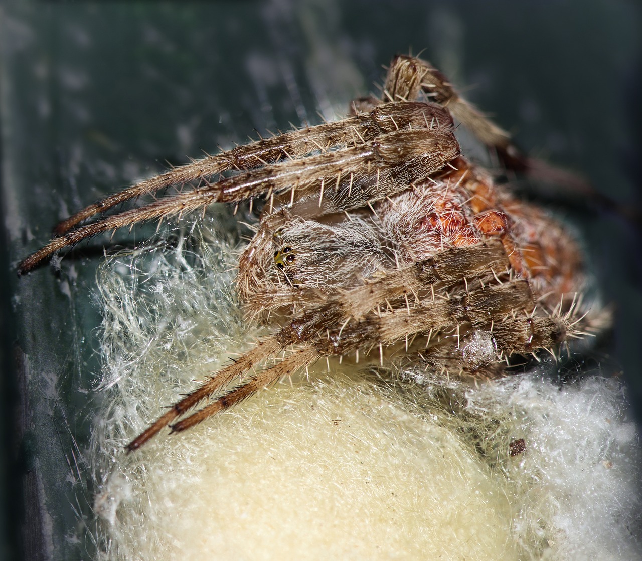 The Mystery of the Ancient Silk Weaving Techniques
